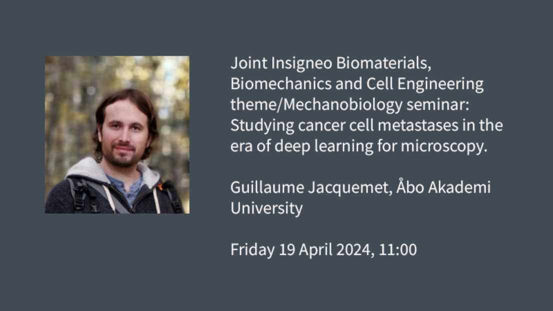 Event graphic: Joint Insigneo Biomaterials, Biomechanics and Cell Engineering theme/Mechanobiology seminar: Studying cancer cell metastases in the era of deep learning for microscopy.  Guillaume Jacquemet, Åbo Akademi University  Friday 19 April 2024, 11:00