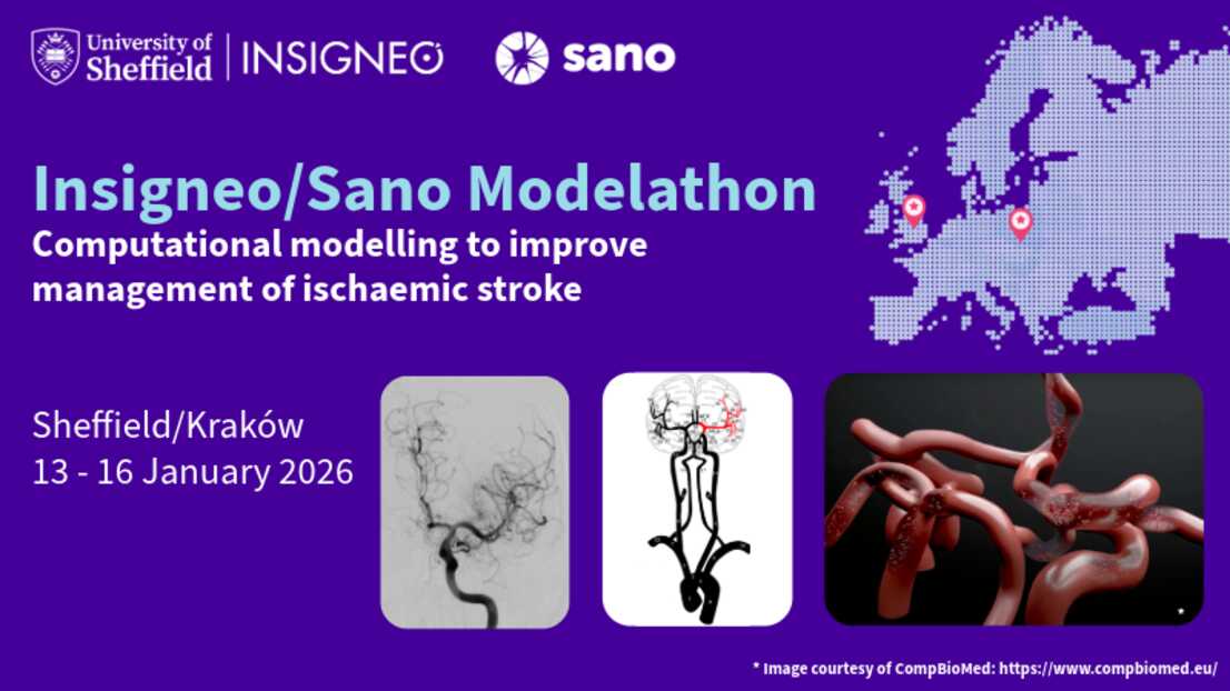 Insigneo event graphic - Insigneo/Sano Modelathon Computational modelling to improve management of ischaemic stroke    Sheffield/Kraków13 - 16 January 2026