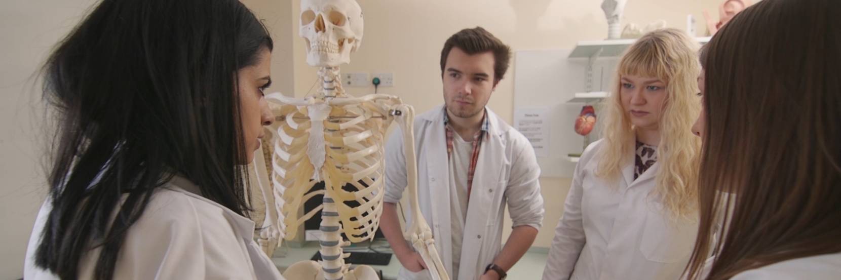 Biomedical Science anatomy image