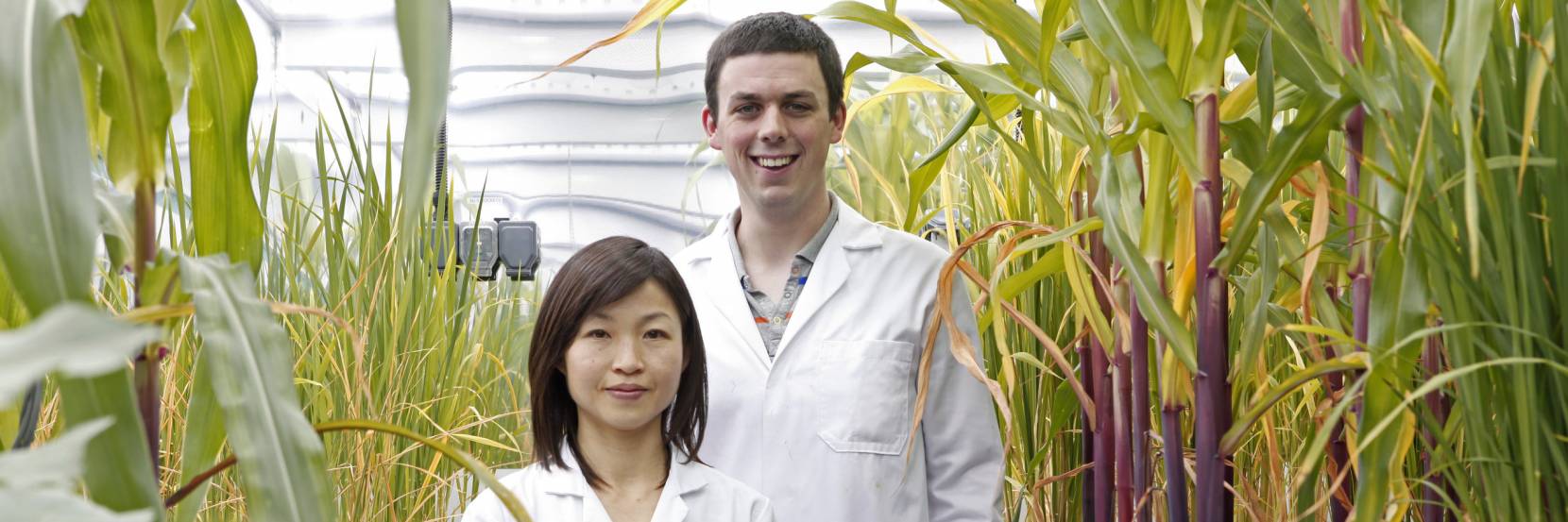 BSc Plant Sciences