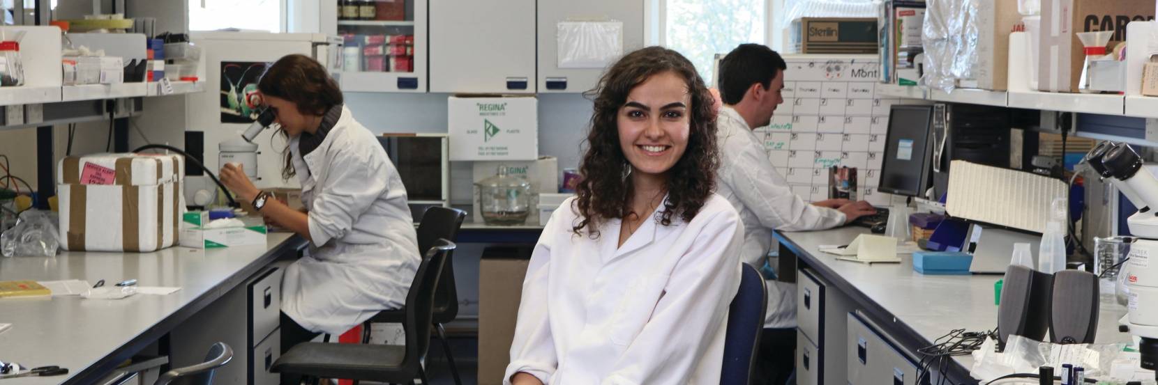 MBiolSci Biology with Placement Year
