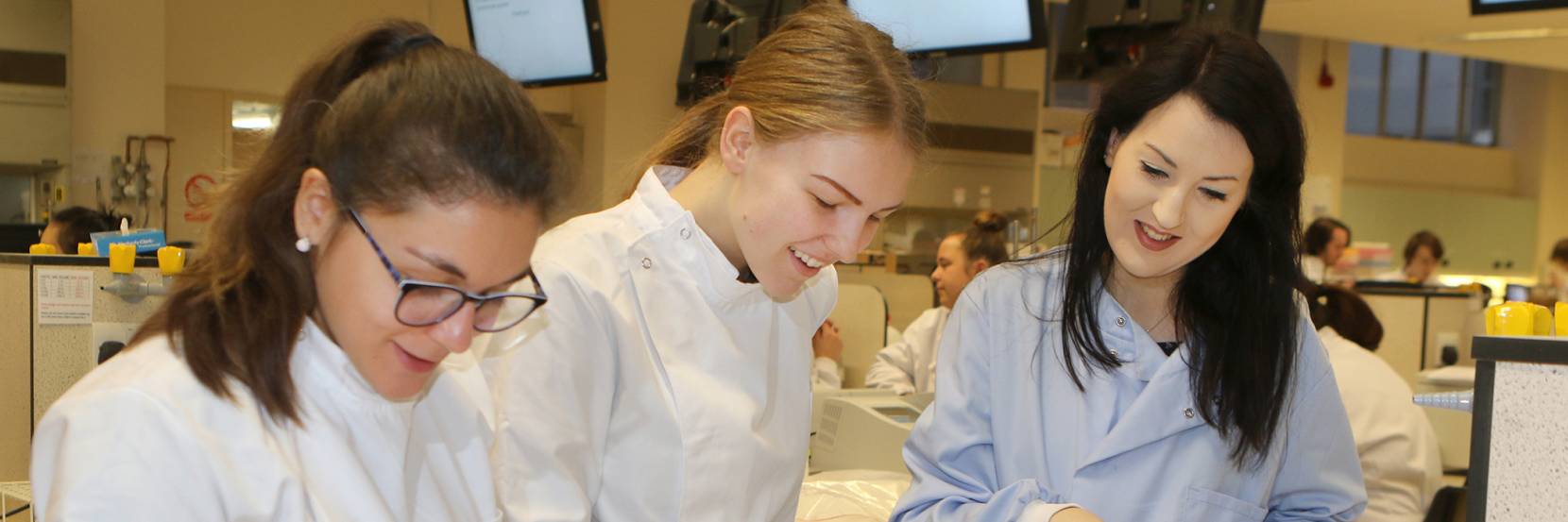 MBiolSci Medical Microbiology