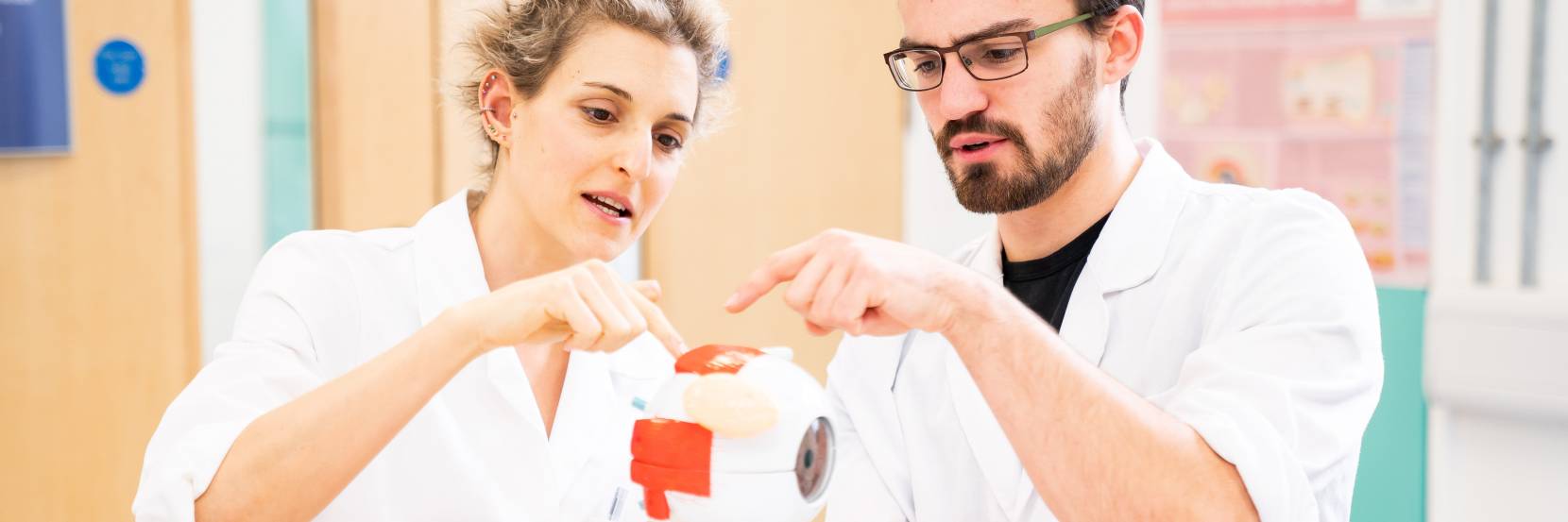 Anatomy students in the lab