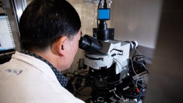 A researcher using an advanced microscope