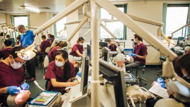 A room full of dental school students practicing dental care on mannequins.