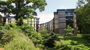 Accommodation at the University of Sheffield, photographed through a leafy green area. 