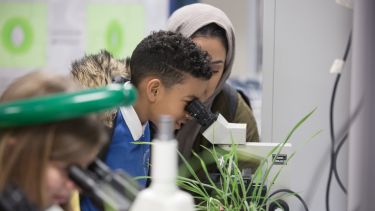 A child looking through a microscope at Discovery Night