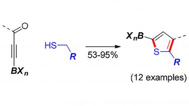 Synthesis of Heteroaromatic Boronic acid Derivatives