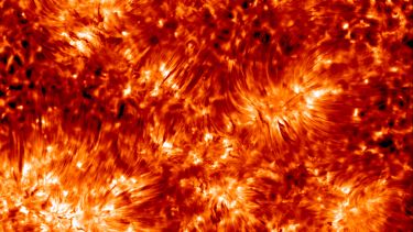 Image of a solar chromosphere close-up.