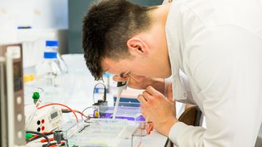 MBiolSci Molecular Biology