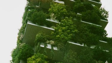 Living walls on a building