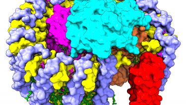 RC-LH1 structure