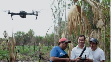 Maya Biosphere Reserve, Guatemala, 2017