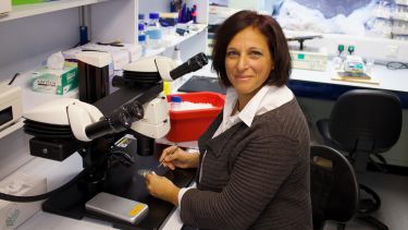 Mirna Mustapha lab photo