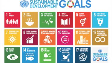 Graphic showing the SDGs