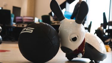 Miro pushing ball