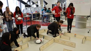 Photograph of students testing their MiRo robots in the maze