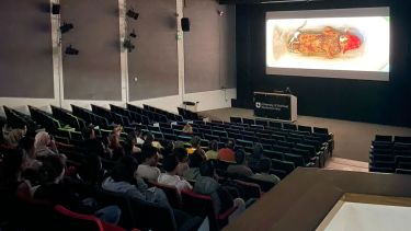 Students attend a lecture in a theatre with a large screen