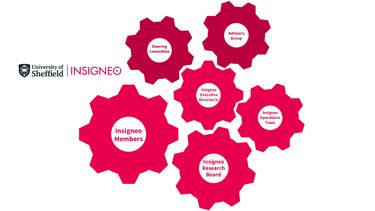 Insigneo structure - cog diagram