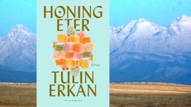 the cover of the novel by Tulan Erkan with in the background snow covered Turkish mountians
