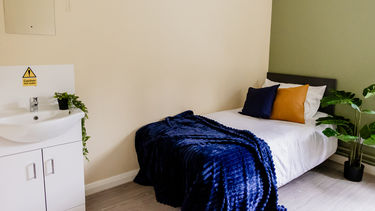 Student accommodation room, there is a single bed with a blue throw and coloured cushions, a large plant beside the bed, and a sink with a mirror above it