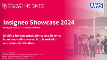 Image graphic: Insigneo showcase 2024 Friday 24 June 2024, The Wave, Sheffield