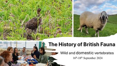 The History of the British Fauna: wild and domestic vertebrates (16th-18th September 2024)
