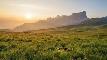 A field with mountains behind