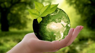 A hand holding a green planet earth with a leaf on top. In the backgrounds are trees.