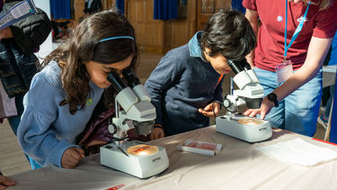 Two young school children looking down the lens of a microscope 
