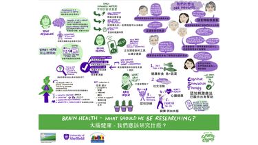Graphic detailing findings from the project - brain health, what should we be researching?