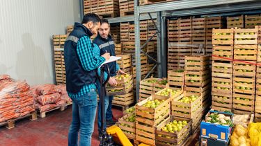 Two workers loading fruit and vegetables in a warehouse