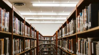 library bookshelves in perspective 