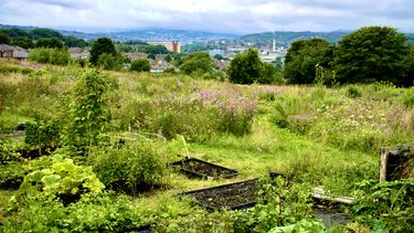 A large area of green fields with Sheffield in the background.