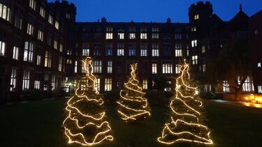 An exterior view of 3 christmas trees outside Firth Court