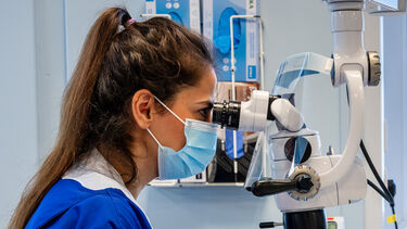 Endodontics student working on a simulated patient