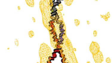 Image of supercoiled DNA