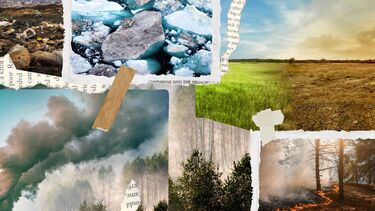 Collage style graphic with images of nature