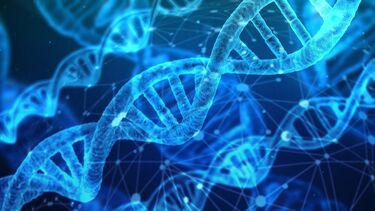 DNA strand