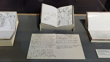 Drawings and excerpts from Nerys Johnson's hospital diary