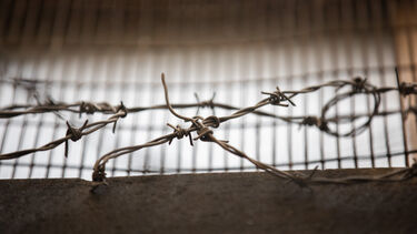 Barbed wire