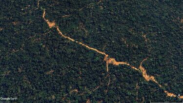Google Earth Image © Airbus 2025 showing changes in the forest canopy detected by satellites at one of the logging concessions in 2023.