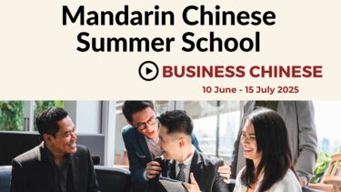 Business Chinese Summer school 2025