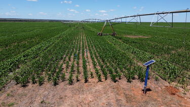 Matopiba test site