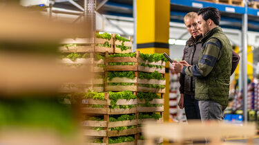 Male and female workers using digital tablet while checking crates of lettuce in warehouse.