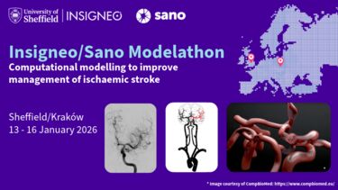 Insigneo event graphic - Insigneo/Sano Modelathon Computational modelling to improve management of ischaemic stroke    Sheffield/Kraków13 - 16 January 2026