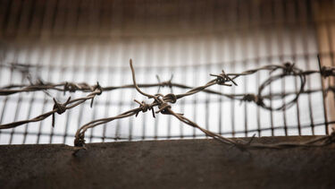 UI Barbed wire