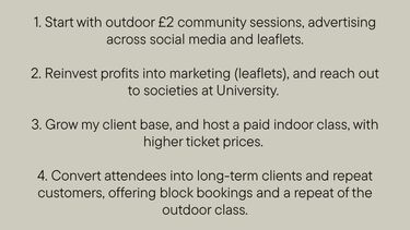 The plan text for the business idea 