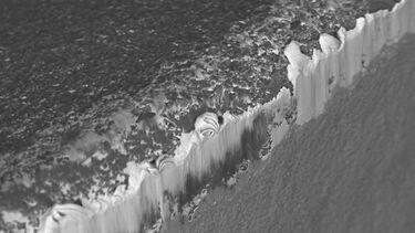 Characterisation Image Henry Boyle 2