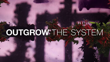 The film title "Outgrow the System" over and abstract purple design 